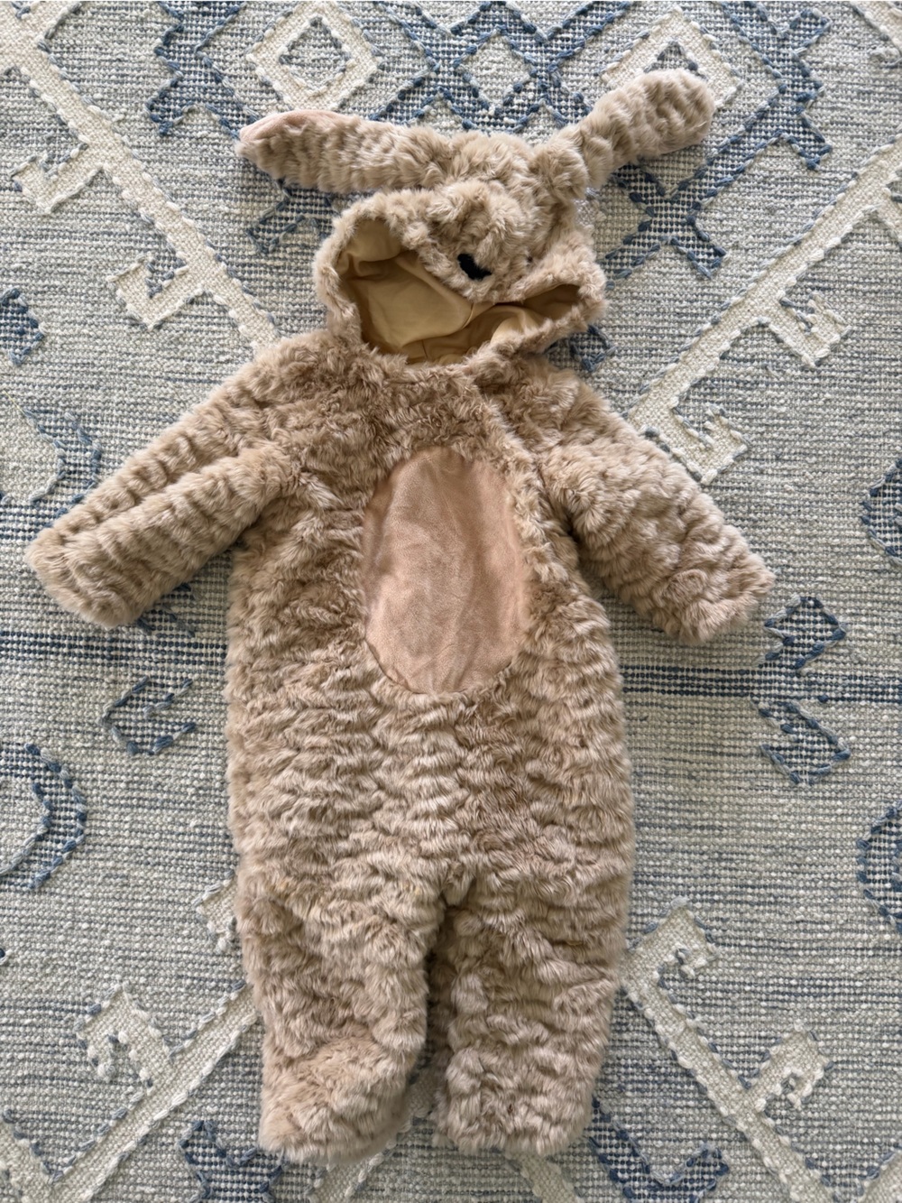 Pottery Barn Kids Dog Halloween Costume 12-24 months